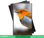 Монитор ASUS ProArt PA32UCX-PK