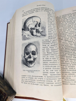 "Естественная история племен и народов". Сочинение Фр. Гельвальда. 1882г. - антикварное издание