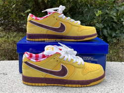 Nike SB Dunk Low 313170-137566