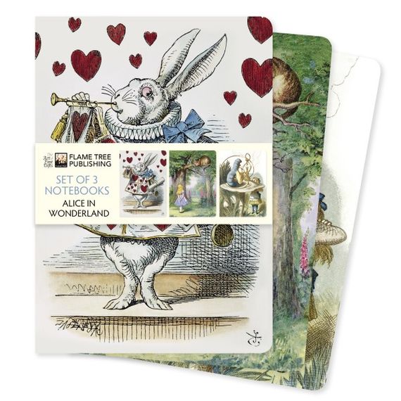 Bloknot \ Блокнот \ Notebook Alice in Wonderland Set of 3 Standard Notebooks