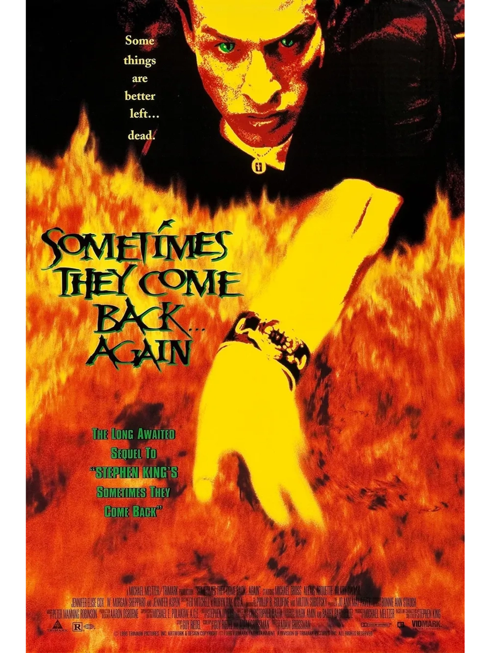 Иногда они возвращаются снова 2 (1996) (DVD-R)