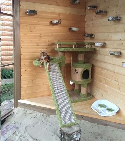 Домик для кошки КУН-16 (мейн-кун)