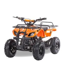 Квадроцикл MOTAX ATV Mini Grizlik X-16 (мех.)