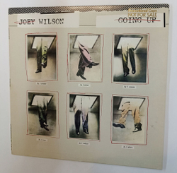 Винтажная виниловая пластинка LP Joey Wilson Going Up (USA Promo 1980)
