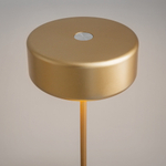 Аккумуляторный светильник Maytoni AI Collaboration MOD229TL-L3G3K2