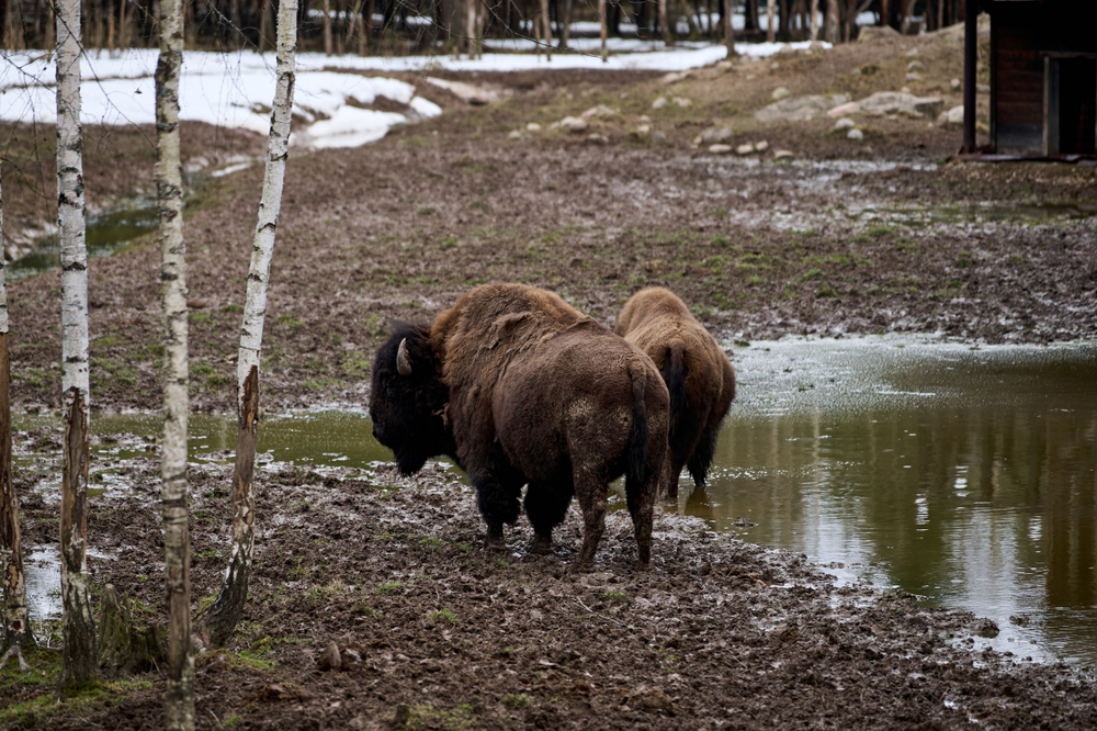 Праздник в стиле Гжель