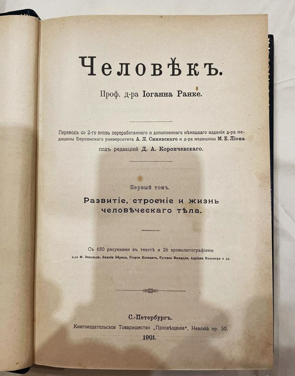 "Человек". И. Ранке. 1904г.