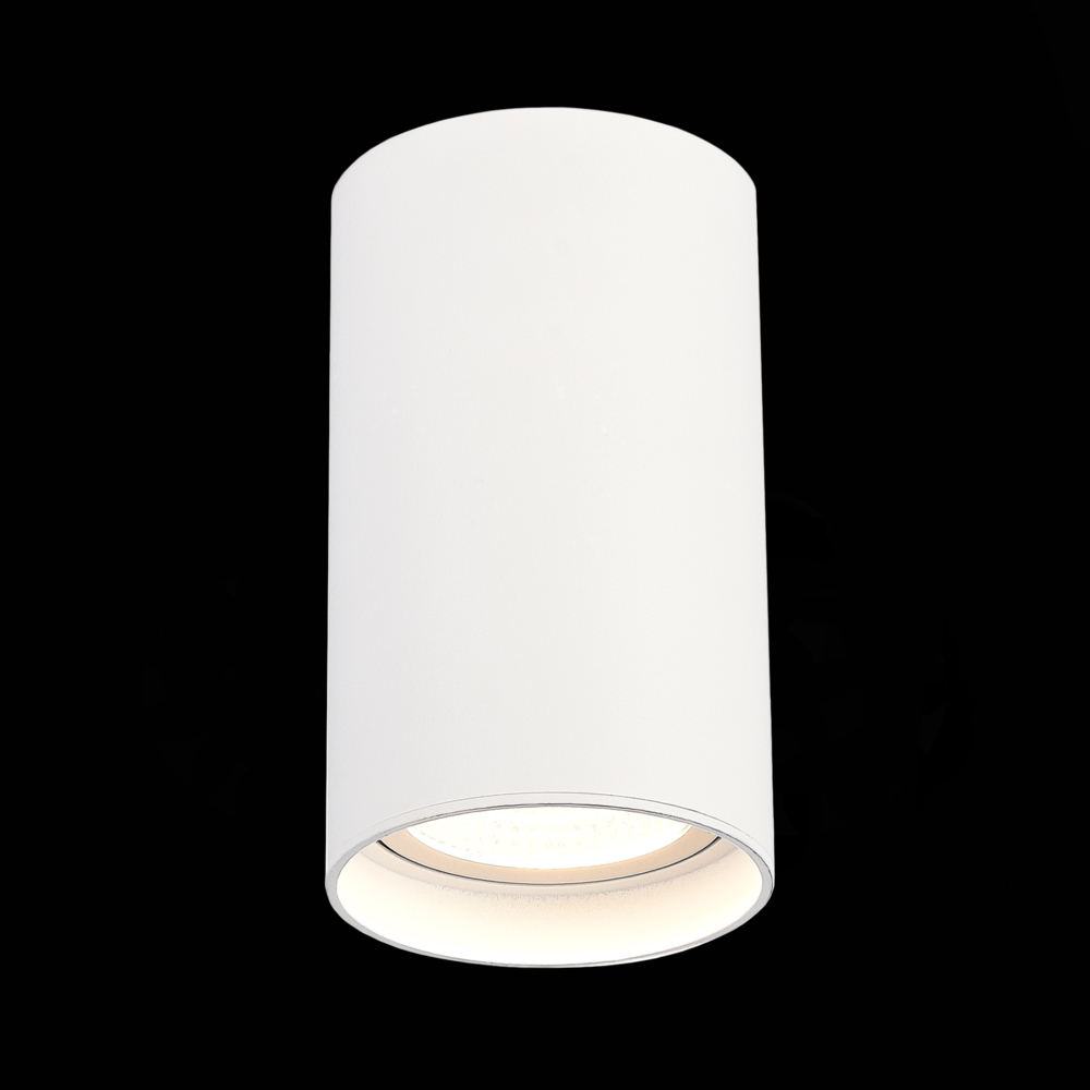 Светильник потолочный ST Luce ST157.532.20