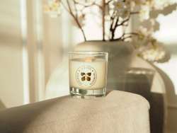 Свеча в стеклянном стакане 320 мл, «Лесная амбра»