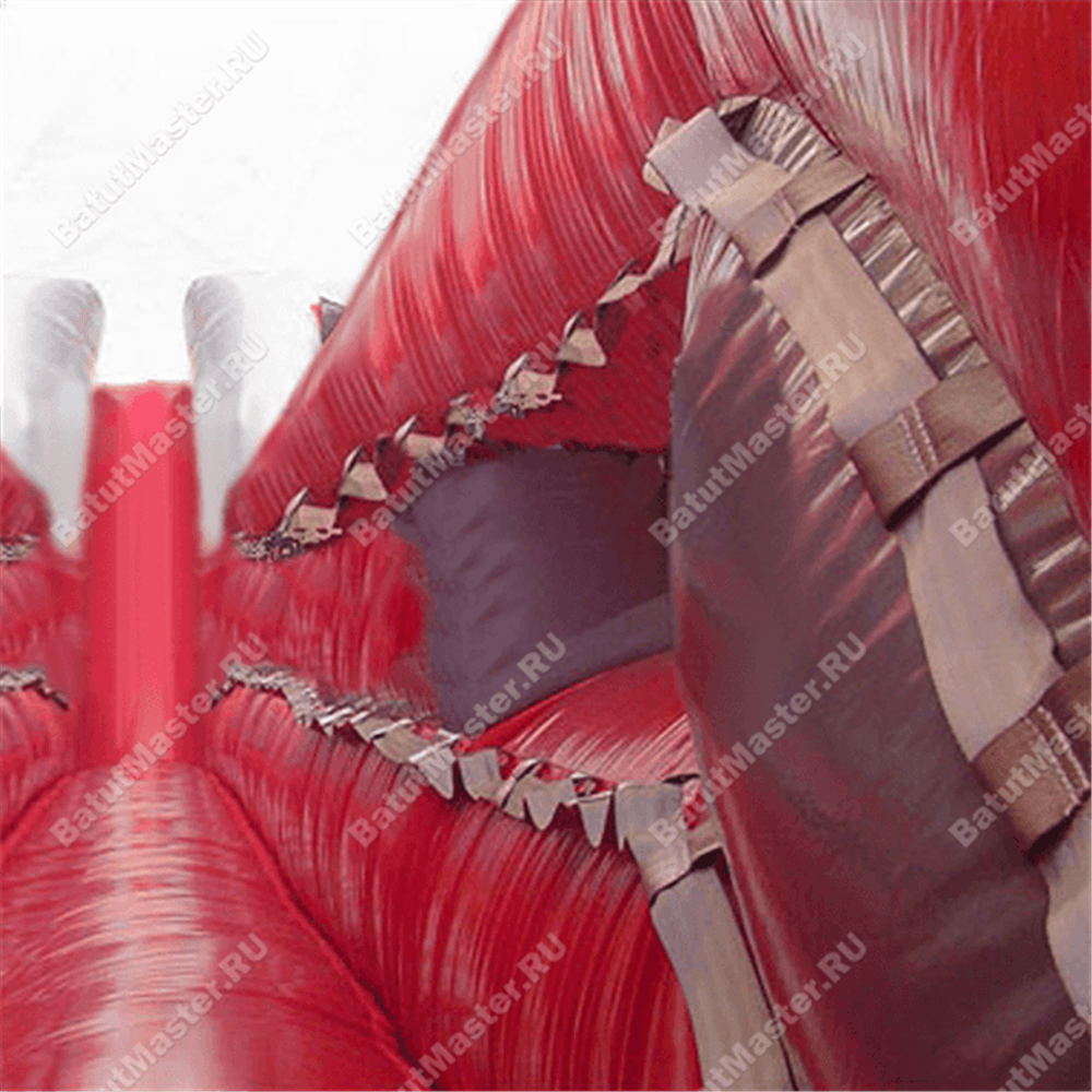 Надувная горка "Камикадзе"