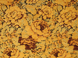 Шенилл Алейна 102