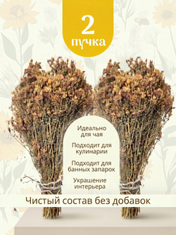 Мята длиннолистная пучок, 2 шт.