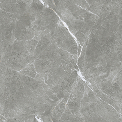 Stone Cool Grey Керамогранит серый 60х60 Полированный