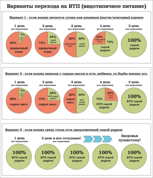 Рекомендации и правила перевода