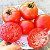 Помидоры Астраханские Мясистые Розово-Красные