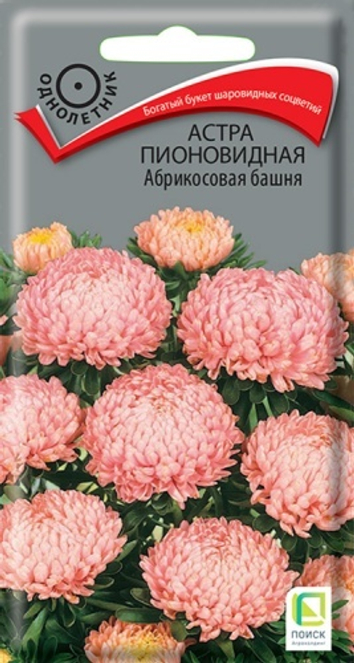 Астра пионовидн. Абрикосовая башня 0,3гр Поиск