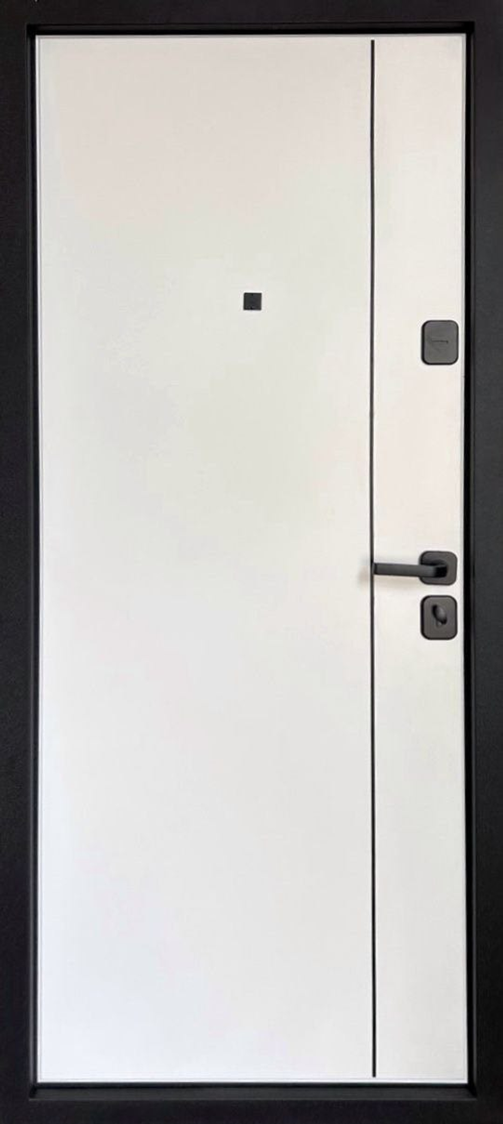 Дверь входная Мегаполис 3