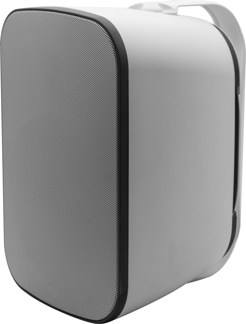 svs_paf-6w_(1)_web.png