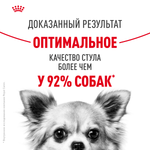 Royal Canin Mini Digestive Care Мини Дайджестив кэа Корм сухой для взрослых собак мелких пород с чувствительным пищеварением 1кг