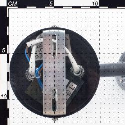 Citilux Ринг CL525510 Спот поворотный Белый
