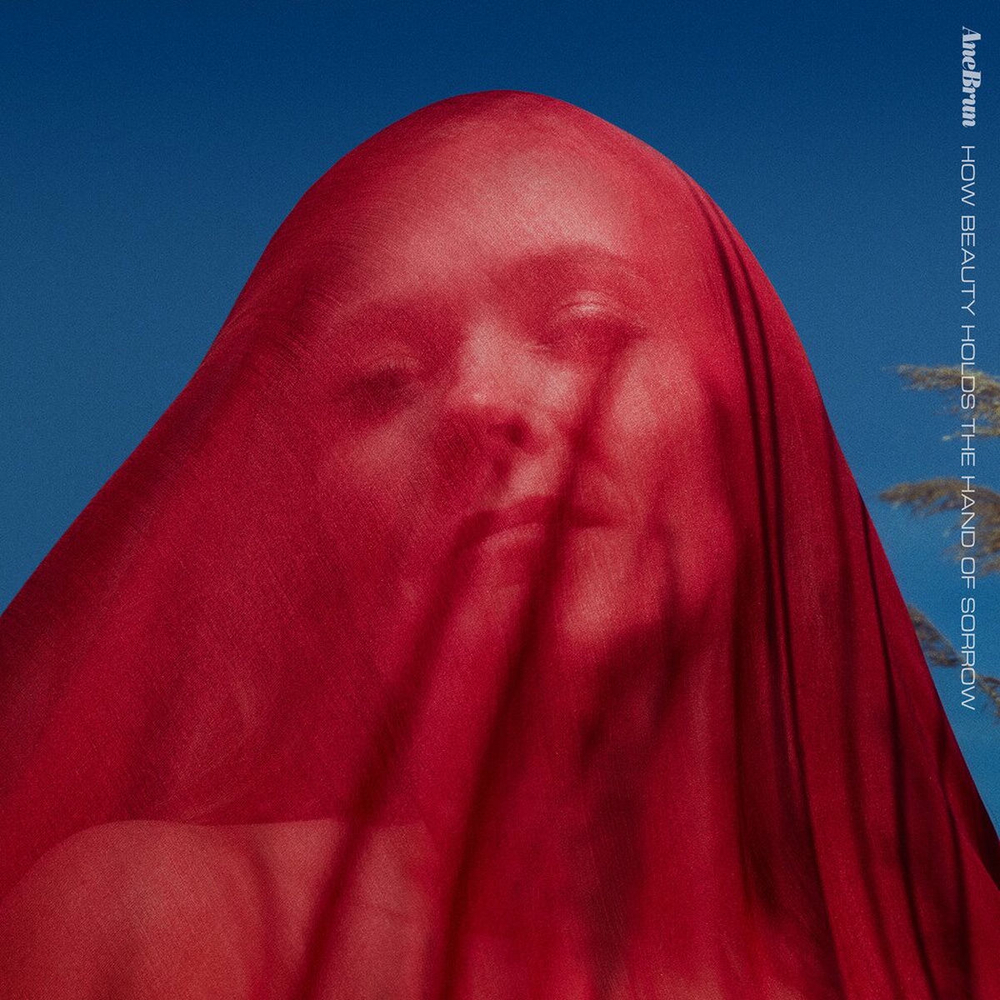 [CD] Ane Brun - How Beauty Holds The Hand Of Sorrow - Super Jewel Box [used]