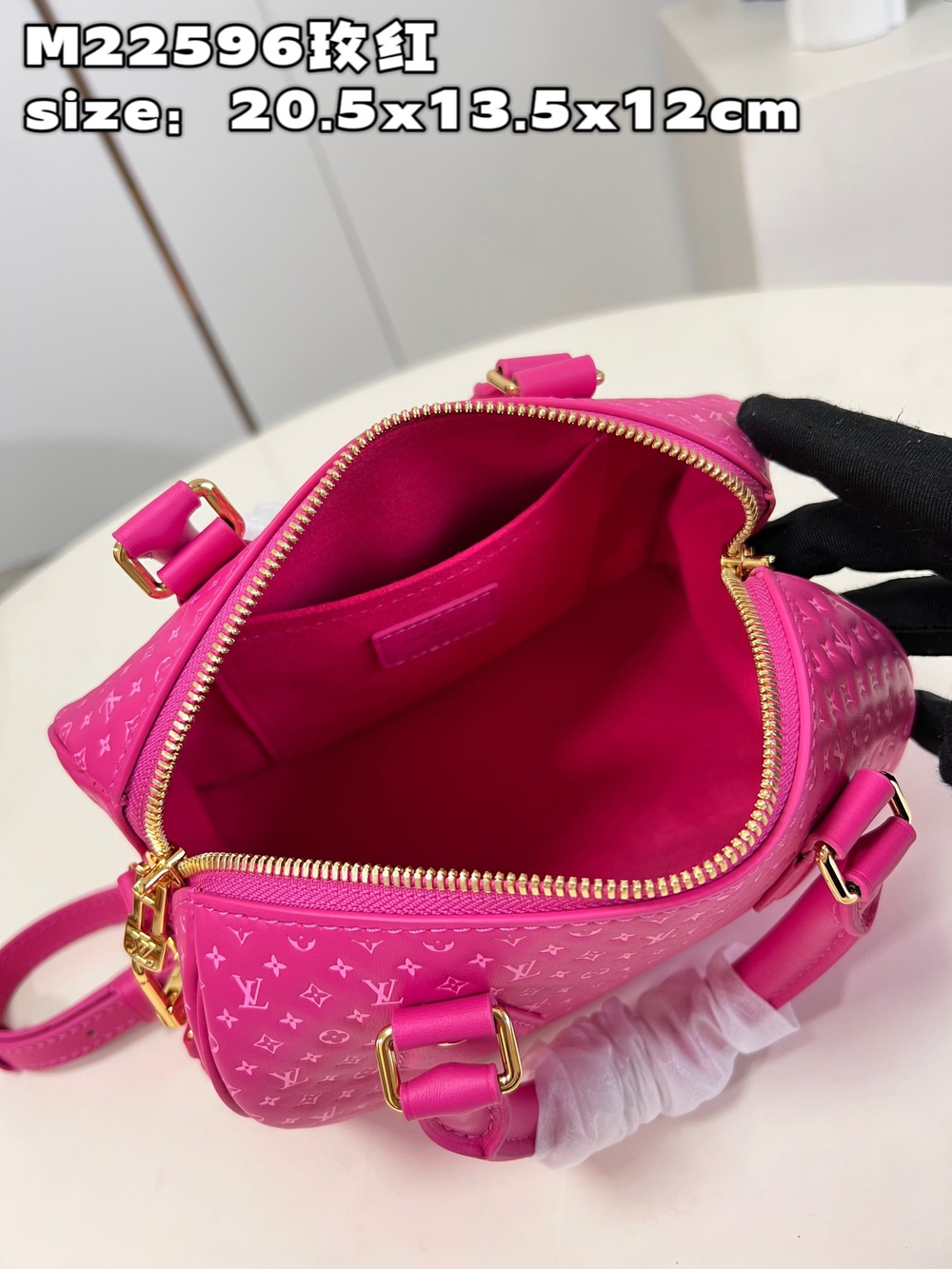 Louis Vuitton Speedy 20