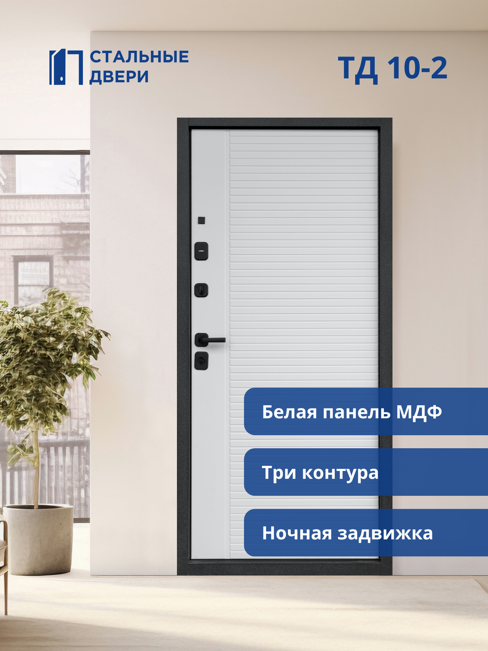 Входная дверь ТД 10-2