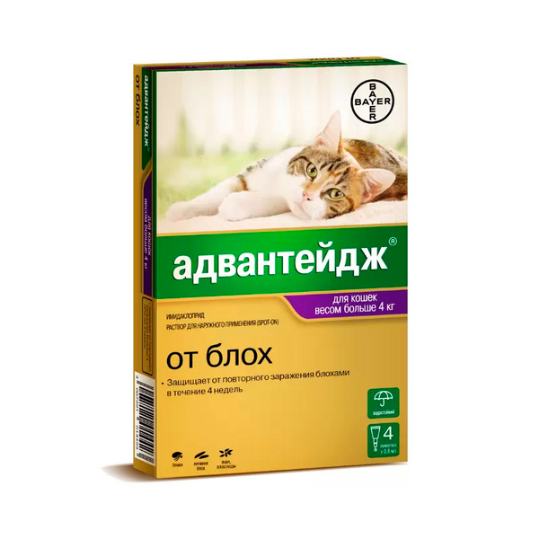 Адвантейдж для кошек больше 4 кг упаковка (4 пипетки)