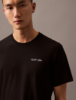 Футболка Calvin Klein Script Logo Classic Black Beauty