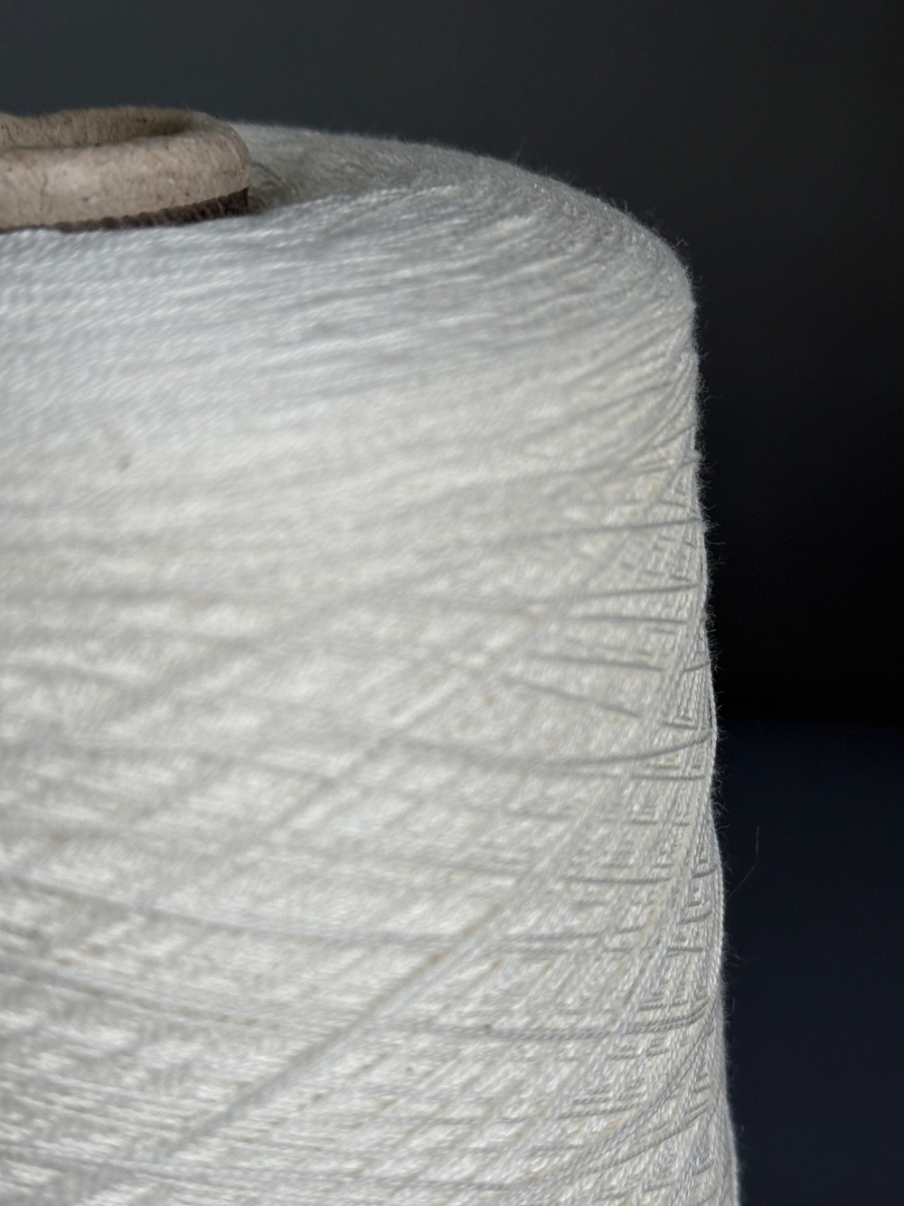 Пряжа Servizi e Seta COTSILK 2/48 (50% шелк 50% хлопок) 2400 м/100 гр, бьянко