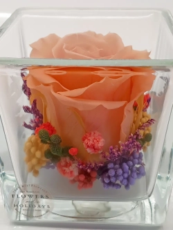 натуральная роза в стекле, вакуум*