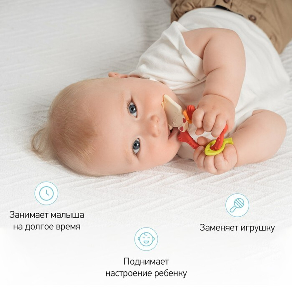 7627537 Прорезыватель MEOW TEETHER, универальный, цвет МИКС