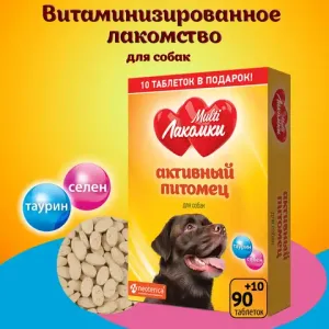 Лакомство MultiЛакомки Активный питомец для собак, 100 таб.