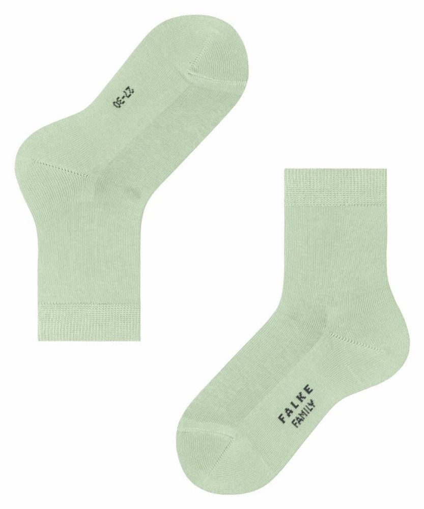 Носки Family FALKE 12998/7313