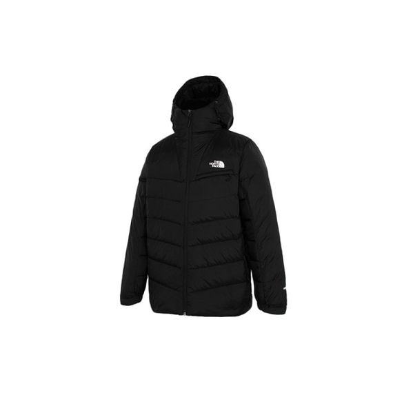 THE NORTH FACE Logo 550