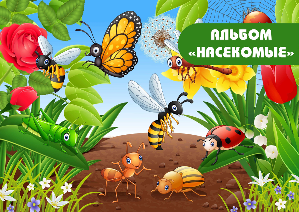 3D-Альбом "Насекомые"