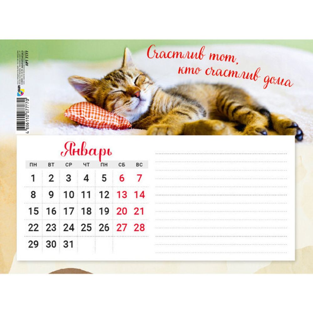 Календарь с блоком для записей 2024&quot;Котик» 20*15 см