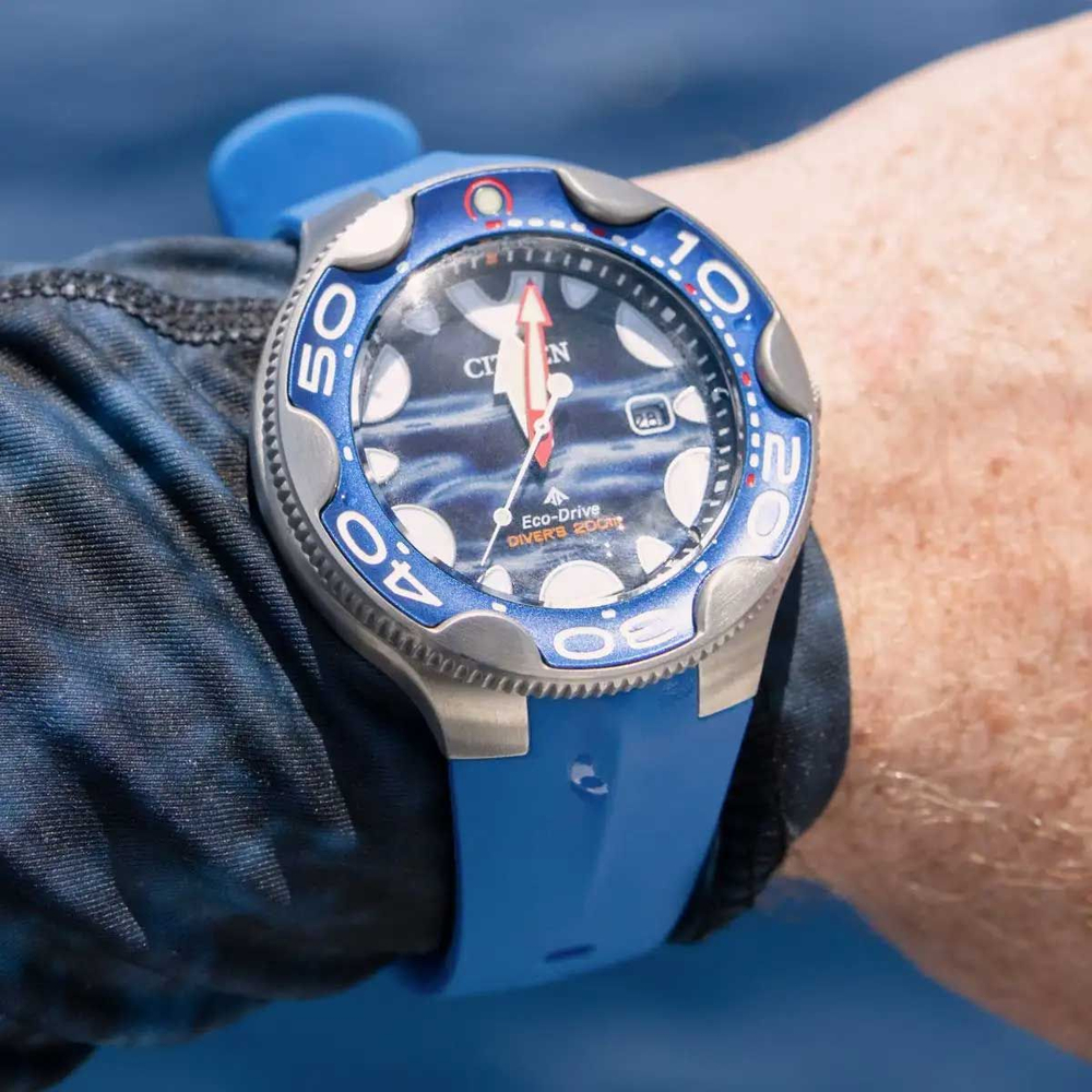 Мужские наручные часы Citizen BN0238-02L