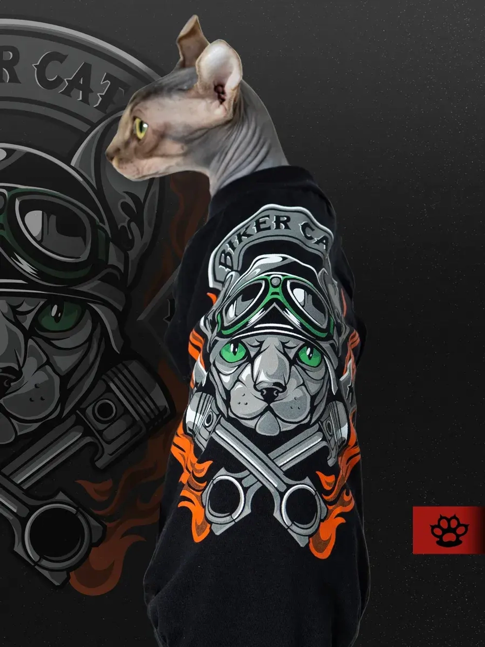 Одежда для кошек сфинкс