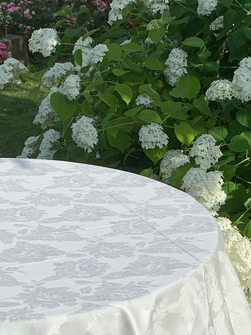 Скатерть 220 и 12 салфеток Palombella Brenda белые