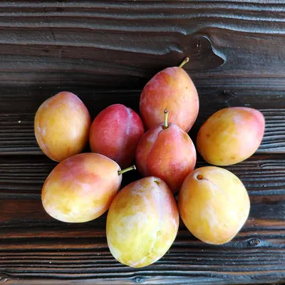 Фотография Слива свежая (Узбекистан) / 1 кг купить в магазине Афлора