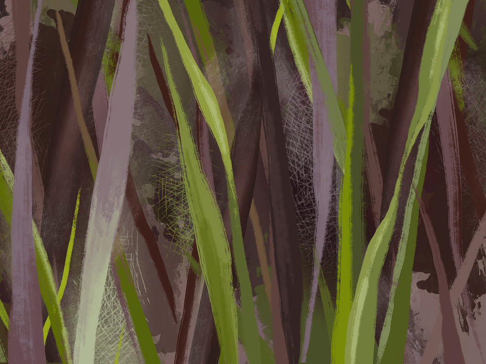 Коллекция ALIVE