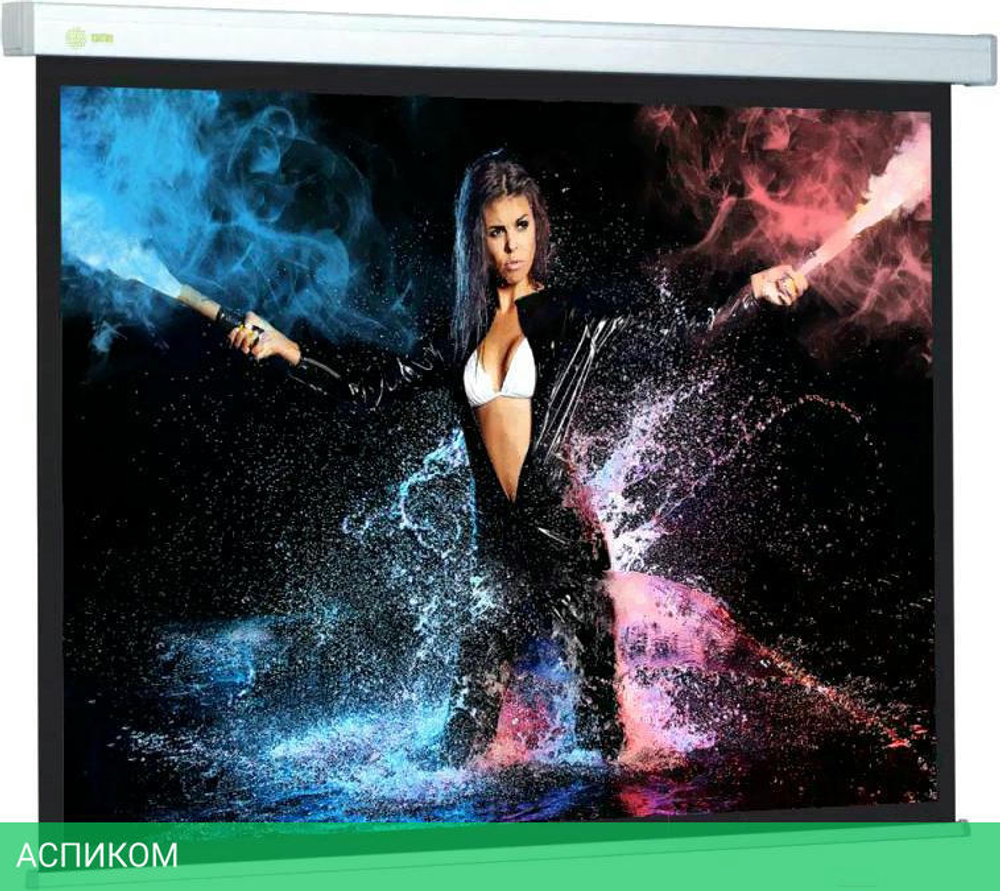 Проекционный экран Cactus CS-PSW-168X299