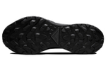 Кроссовки Nike Pegasus Trail 3 Gore-Tex "Black"