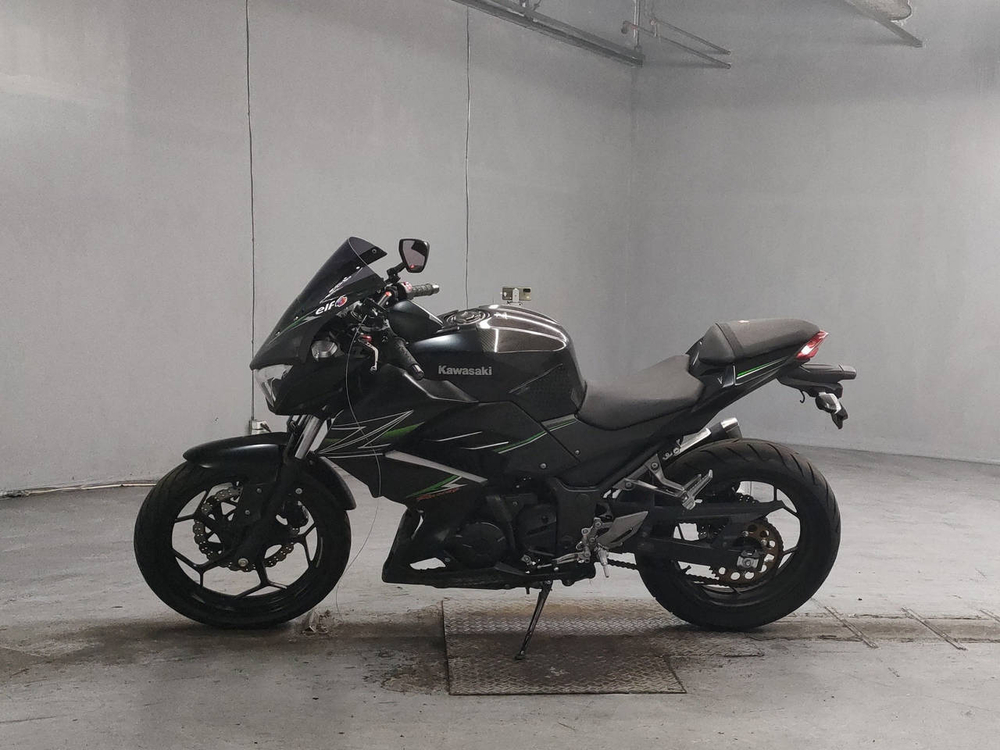 Kawasaki Z250 2013