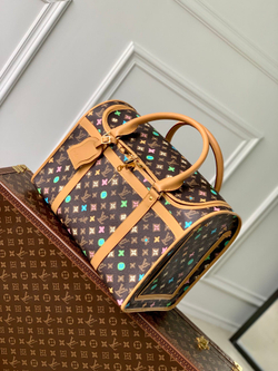 Louis Vuitton Dog Bag