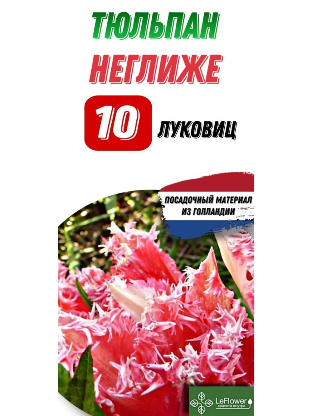 Тюльпан Луковица, Неглиже, 10шт