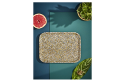 Поднос 27х20см прямоугольный сервировочный Spode Диковинные создания