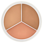 TFIT, Cover Up Pro, консилер, оттенок 02 теплый, 15 г (0,52 унции)