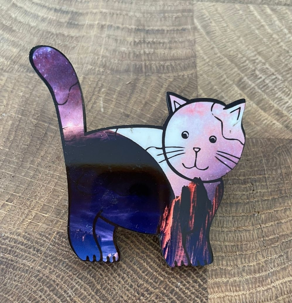 Брошь "Кот космический"